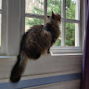 Meet your Posher, Hui